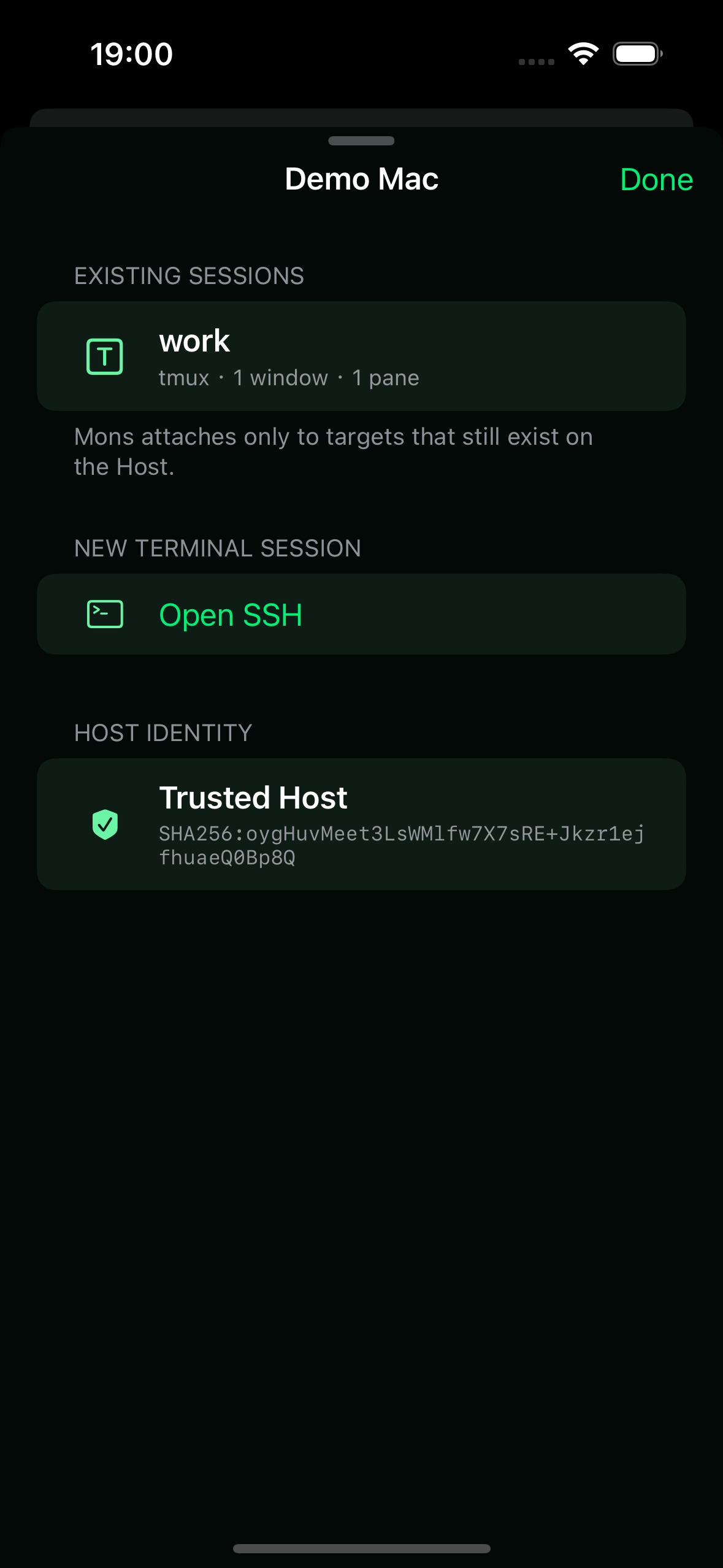 Real Demo Mac connection lists the work session and its trusted host fingerprint.