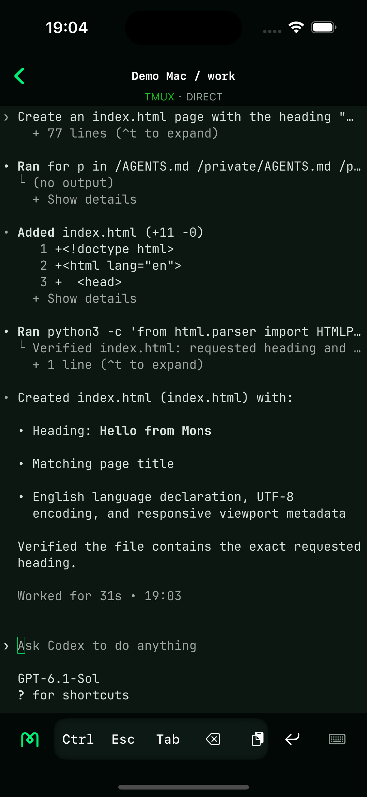Real Mons app opens the dark Codex terminal in the work session and shows the Hello from Mons task result.